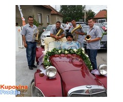 trubaci krusevac, 0638652334
