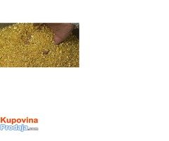 gold powder