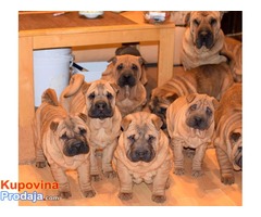 SAR PEI - prelepi stenci