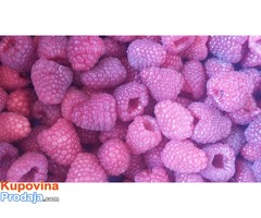 HLADNJACA ZA IZDAVANJE HLADNJACA ZA IZDAVANJE