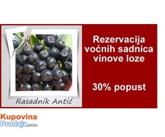 Sadnice voća... Super cena 30% popust - Fotografija 1/2