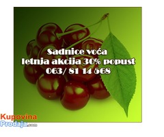 Letnja Akcija! Sadnice voća 30% popust cena - Fotografija 1/2