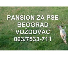 Pansion za pse Beograd - Voždovac Pansion za pse Beograd - Voždovac