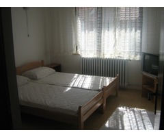 Banja Vrdnik Apartman - Fotografija 4/6