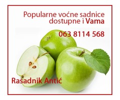 Najbolje voćne sadnice za prolećnu sadnju - KATALOG - Fotografija 1/3