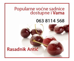 Najbolje voćne sadnice za prolećnu sadnju - KATALOG - Fotografija 2/3