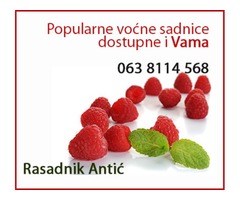 Najbolje voćne sadnice za prolećnu sadnju - KATALOG - Fotografija 3/3