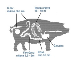 CREVA  za roštilj i ostale kobasice,veliko,malo,mrezice za rolovanje,klipse i visilice-omče - Fotografija 6/6