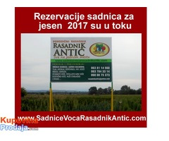 Najpovoljnija ponuda voćnih sadnica za jesen 2017 - Fotografija 1/2