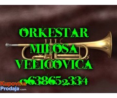 trubaci velika plana 0638652334