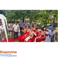 trubaci veliko gradiste 0638652334