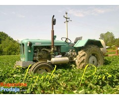 Prodajem traktor Rakovicu 60 Prodajem traktor Rakovicu 60