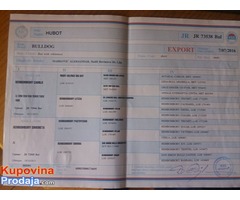 Engleski buldog,mužjak - Fotografija 5/5