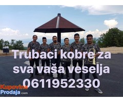 Trubaci velika plana 0611952330 - Fotografija 2/3