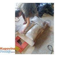 Pelet