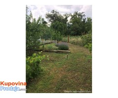 Kuca na Borskom jezeru - Fotografija 4/6