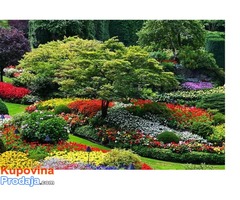hortikultura
