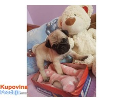 MOPS - kvalitetna stenad