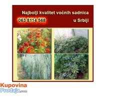 Voćne Sadnice svih vrsta Voćne Sadnice svih vrsta