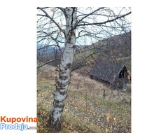Stambena kuća, šuma, poljoprivredno zemljište, Jablanica - Fotografija 9/10