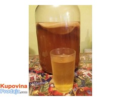 Čajna gljiva KOMBUHA