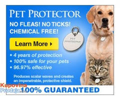 Trajna zaštita vaših kućnih ljubimaca od krpelja i buva