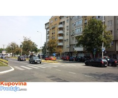 Izdajem lokal, Cvijiceva 3,lokal 2, 50m2 prizemlje + 50m2 podrum - Fotografija 2/2