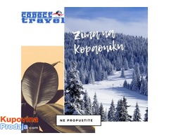 Kombi prevoz putnika do Kopaonika - Fotografija 2/4