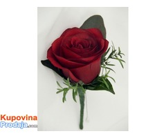 Resavam sve vase ljubavne i bracne probleme