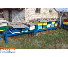 Košnice-društva-rojevi-pčele-matice - Fotografija 4/7