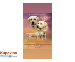 Labrador retriver štenci žuto leglo - Fotografija 1/4
