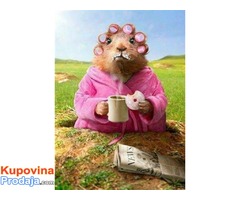 Sisanje pasa i macaka! (Beograd)