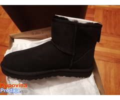 UGG nove sunjalice - Fotografija 4/5