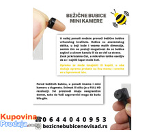 Bezicne Bubice Novi Sad - Fotografija 3/3