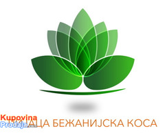 Pijaci Bežanijska kosa potreban čuvar