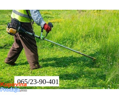 Kosim travu Kosim travu