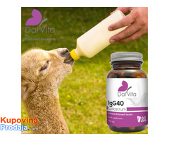 Colostrum IgG40-Najbolje za imunitet - Fotografija 3/6