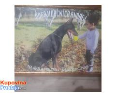 Doberman štenci - Fotografija 7/10