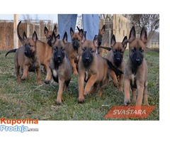 Malinoa - Fotografija 5/7