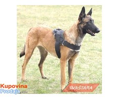 Malinoa - Fotografija 6/7