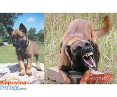 Malinoa - Fotografija 7/7