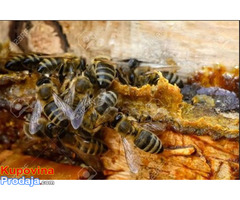 Prodajem propolis rastvor