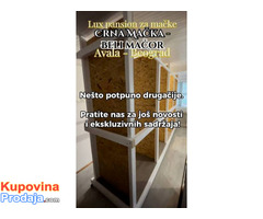 Crna Mačka – Beli Mačor, lux pansion - Fotografija 2/5