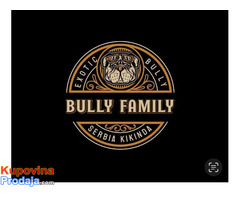 American bully exotic štenci - Fotografija 1/6
