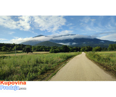 Rtanj, selo Jablanica 51 ar sa kucom i vetiri gradjevinske parcele uknjizeno - Fotografija 4/7