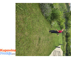 Košenje trave - Održavanje zelenih površina