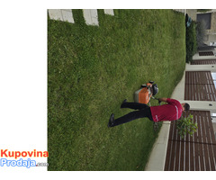 Košenje trave - Održavanje zelenih površina