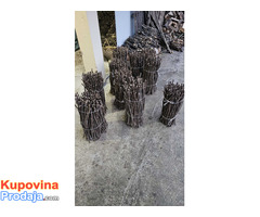 NA PRODAJU: Isečena Loza 1 KLASE za Kalemljenje (Kober BB) - Fotografija 7/8