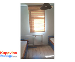 Zemun, izdajem jednokrevetne i dvokrevetne sobe - Fotografija 3/6