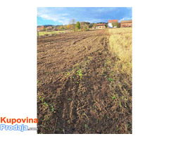 Usluzno freziranje i uredjenje dvorista - Fotografija 6/10